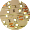Taśma LED 2835 biała dzienna 120/m, rolka 5 metrów